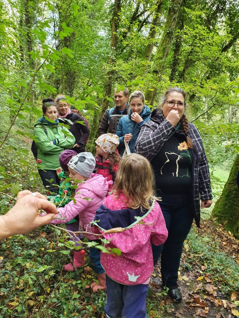 Toll, was man im Wald so alles naschen kann