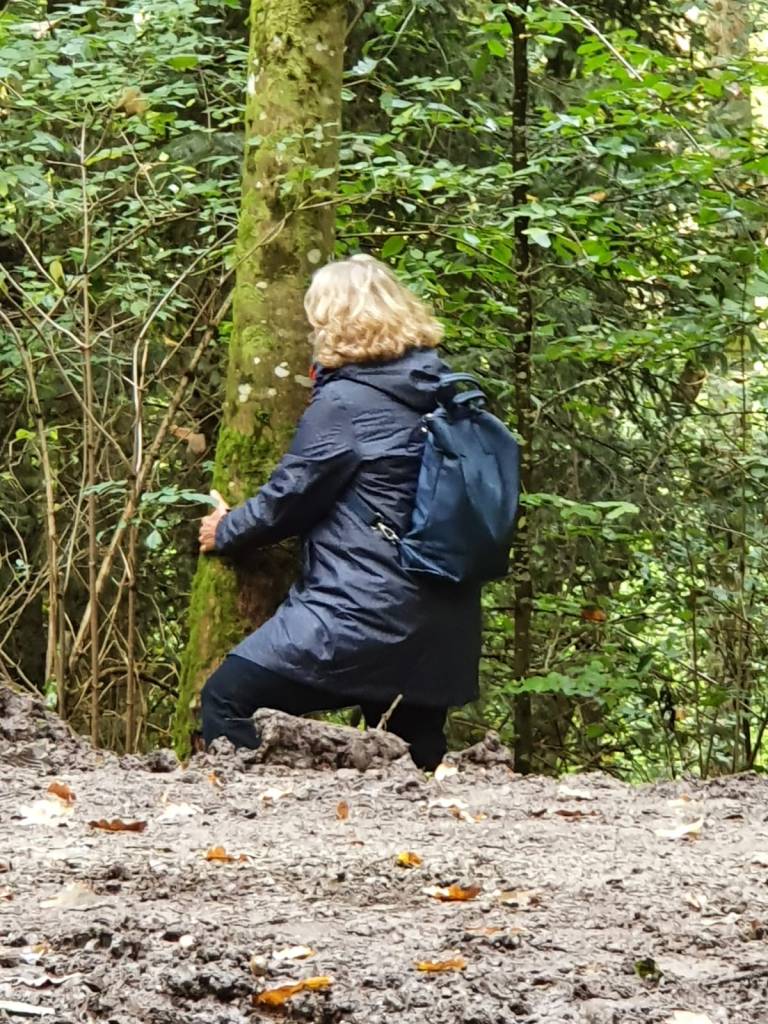 Auf Tuchfühlung mit dem Baum